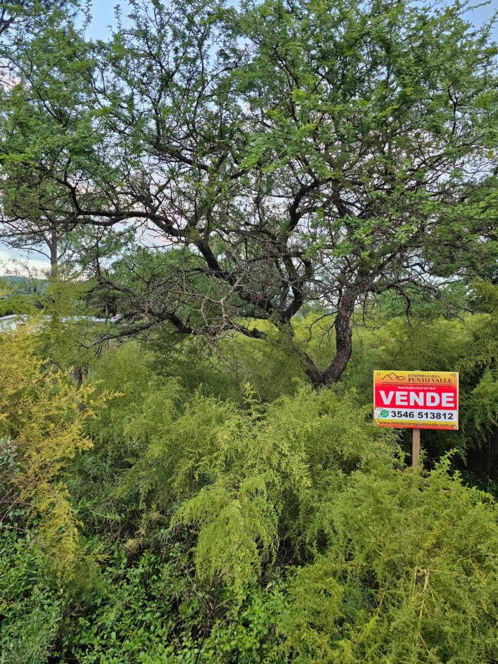 Lote Venta San Ignacio Calamuchita Loteo Velez Crespo Exclusivo A 200 Metros Rio Y Balneario Luz Escritura