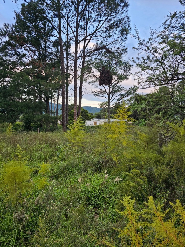 Lote Venta San Ignacio Calamuchita Loteo Velez Crespo Exclusivo A 200 Metros Rio Y Balneario Luz Escritura