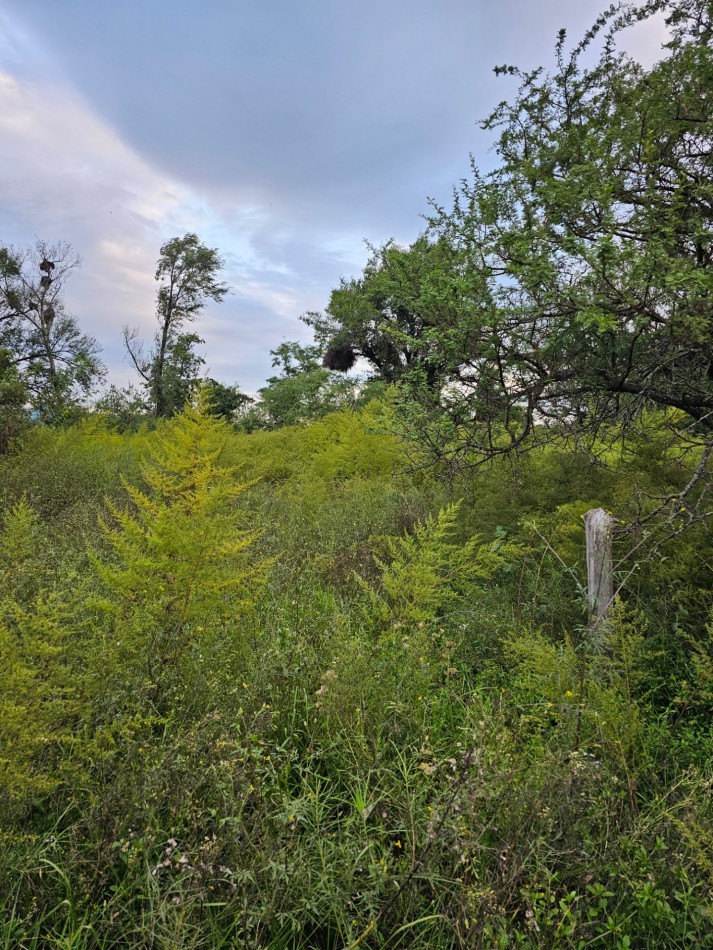 Lote Venta San Ignacio Calamuchita Loteo Velez Crespo Exclusivo A 200 Metros Rio Y Balneario Luz Escritura