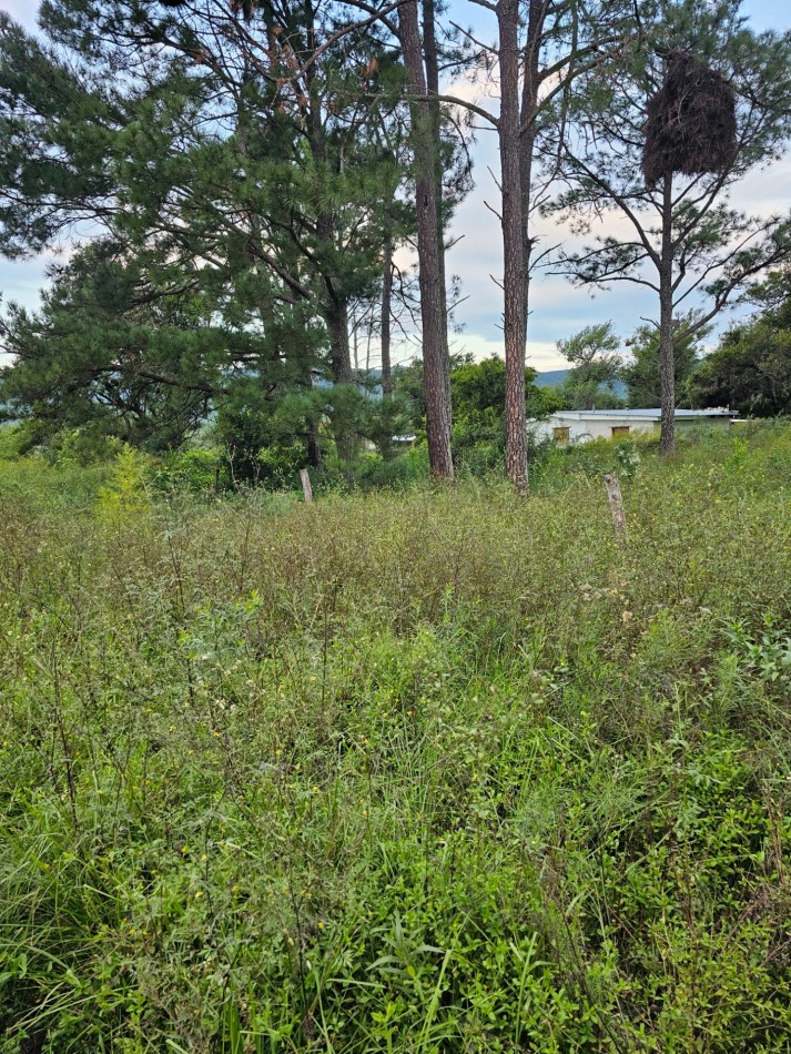 Lote Venta San Ignacio Calamuchita Loteo Velez Crespo Exclusivo A 200 Metros Rio Y Balneario Luz Escritura