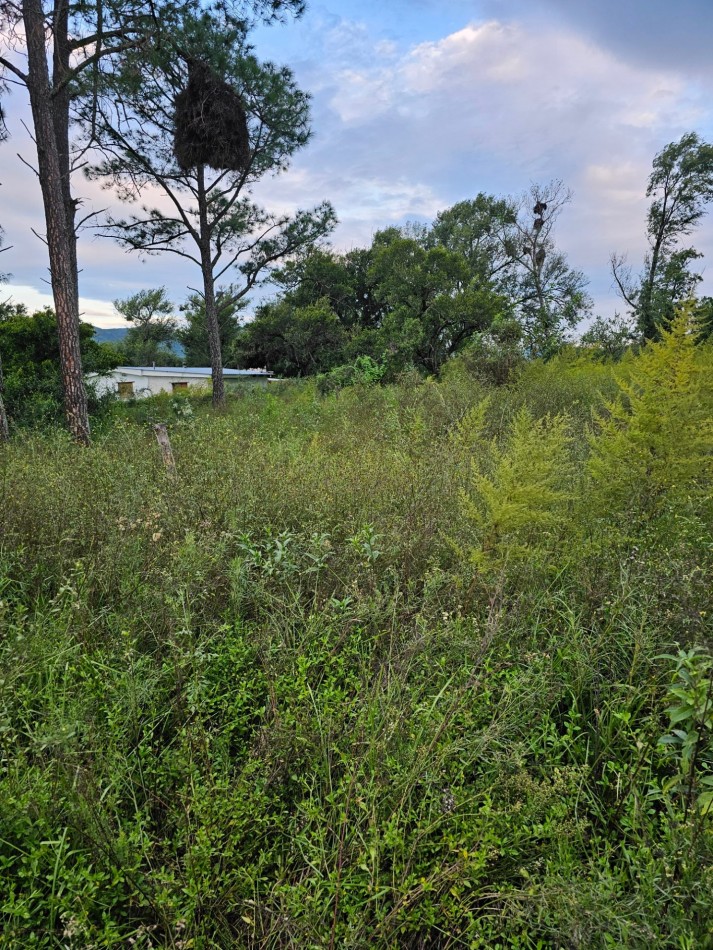 Lote Venta San Ignacio Calamuchita Loteo Velez Crespo Exclusivo A 200 Metros Rio Y Balneario Luz Escritura