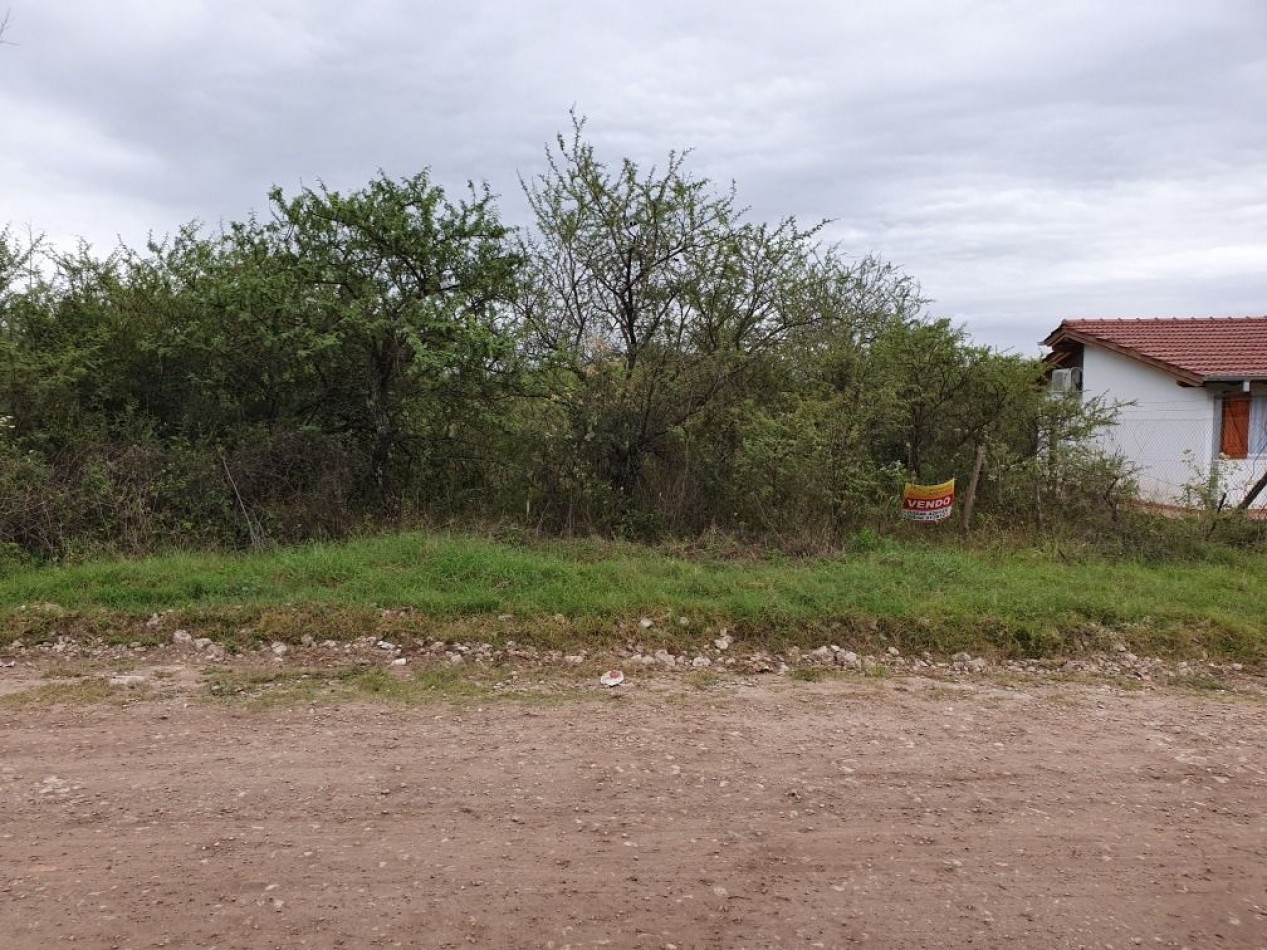Lote Venta Santa Rosa De Calamuchita B° Villa Strada 663 m² 4 Cuadras Del Rio Ubicacion Seguridad Vistas Sierras Chicas Y Grandes Luz Agua Escritura