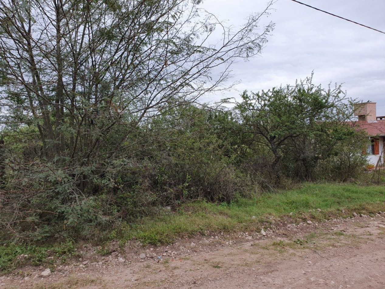 Lote Venta Santa Rosa De Calamuchita B° Villa Strada 663 m² 4 Cuadras Del Rio Ubicacion Seguridad Vistas Sierras Chicas Y Grandes Luz Agua Escritura