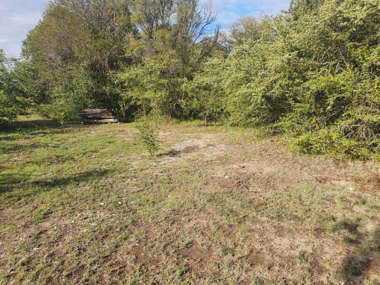 2 Lotes Amplios Venta Villa General Belgrano 2500 M² cada uno Excelentes Vistas Sierras Chicas Y Grandes Entorno Familiar Construccion Cabaña Escritura