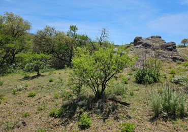 Lote Venta Villa Calmayo 1299 M² Ubicacion Exclusiva Grandes Vistas Luz Agua Escritura Facil Acceso
