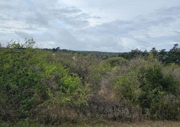5 Lotes juntos contiguos Venta El Parador De La Montaña Luz Agua Puerta Vistas Santa Rosa De Calamuchita