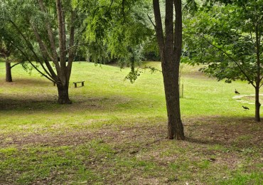 Lote Venta 1.000 m² Los Reartes A 50 metros del Rio Ubicacion Privilegiada Parques autoctonos y forestados Apto Construccion Familiar O Comercial Luz Agua Escritura