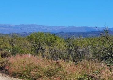 Campo en Venta Apto para desarrollo de Loteo. Oportunidad de Inversion. 