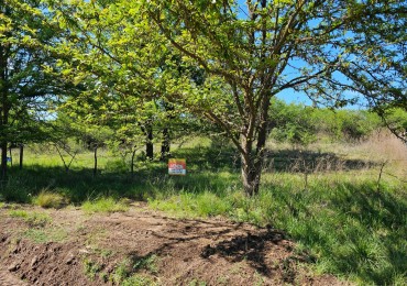 Lote Venta Santa Rosa De Calamuchita 750 M2 Sector Quinto Loteo 