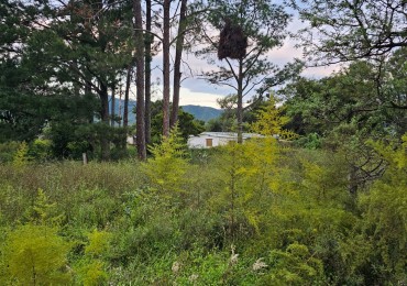 Lote Venta San Ignacio Calamuchita Loteo Velez Crespo Exclusivo A 200 Metros Rio Y Balneario Luz Escritura